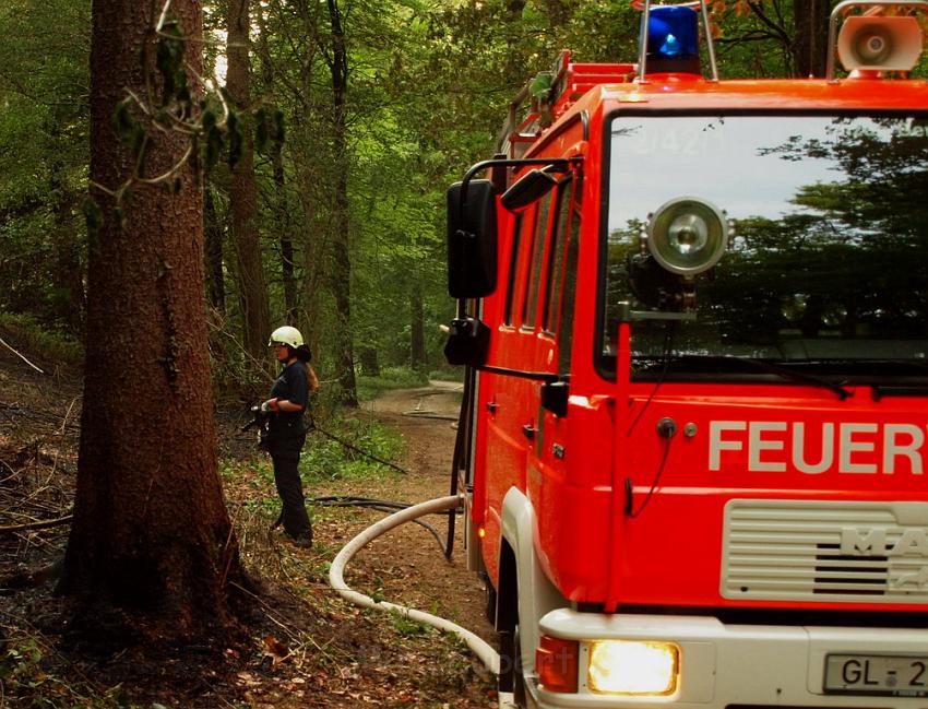 Waldbrand Bergisch Gladbach Bensberg P157.JPG